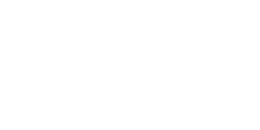 Arbre Experts